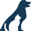 Falmouth Animal Hospital