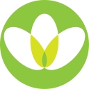 Family Focus Legal logo