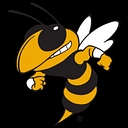 Ferndale Area School District logo