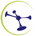 Fastlink Aviation logo