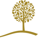 FIRST COMMUNITY FOUNDATION logo