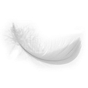 Feather logo