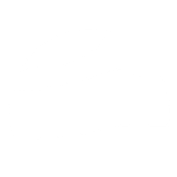 Blueeagle Domestic Matters LLC logo