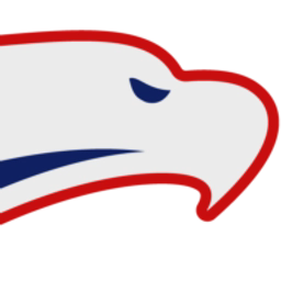 avatar logo
