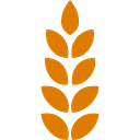 Feeding Texas logo