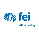 Financial Executives International Silicon Valley Chapter Inc logo