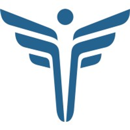 FEI Systems logo