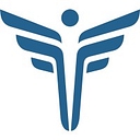 FEI Systems logo