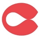 Feiyu logo