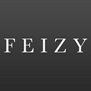 Feizy logo