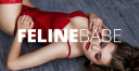 felinebabe.com logo