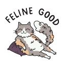 Feline Good