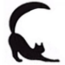 Feline Veterinary Medical Center