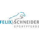 Felix Schneider logo