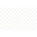 Fellowship Southwest logo