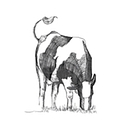 fenfarmdairy.co.uk logo