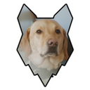 fenrircanineleaders.com logo