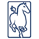 Ferghana Partners logo