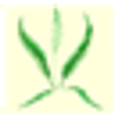 Fernhurst Primary School logo