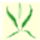 Fernhurst Primary School logo
