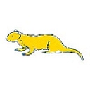 Ferret Information Systems logo