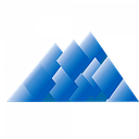 F E S P International Ltd logo