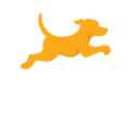 Fetch