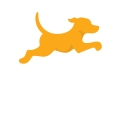 Fetch Rewards