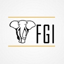 Fgi (Fgi Finance / Fgi Risk / Fgi Capital / Fgi Equity) logo