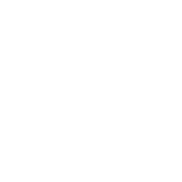 Fibro S.R.L. logo