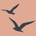 Fiddler's Creek logo
