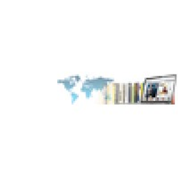 Fidelis Software Solutions Inc logo