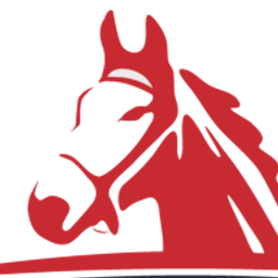 FIELD EQUINE VETS LIMITED logo