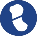 Field Orthopaedics logo