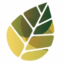 Field View Primary School logo