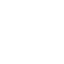 Favicon of Fifco