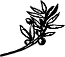 Fig & Olive logo