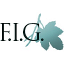 Figfinancial logo