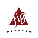 Financial Independence Group logo