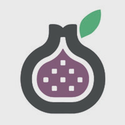 Fig Power Limited logo