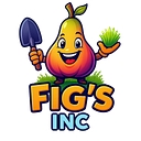 Figs
