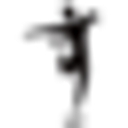 Logo for figureskatingstore.com
