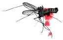 filmreporter.de logo
