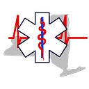 Finger Lakes Ambulance Ems, Inc. logo