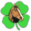 Finish Line Horse Products logo