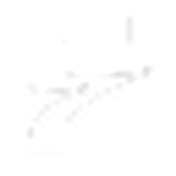 finomnia.com logo