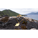Fíor Jewellery logo