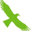Firebird Heating Solutions logo