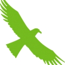 Firebird Heating Solutions logo
