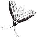 Firefly Distillery, Llc logo